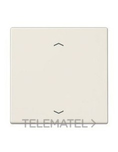 PULSADOR 2 CAN.P/ENOCEAN SIMB.PERS.BM