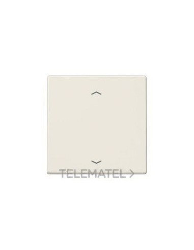 PULSADOR 2 CAN.P/ENOCEAN SIMB.PERS.BM