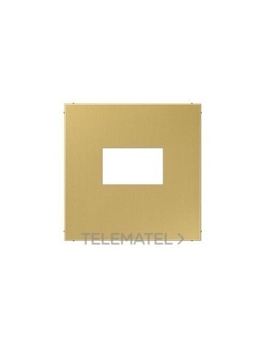 PLACA TOMA USB LS LATÓN CLASSIC