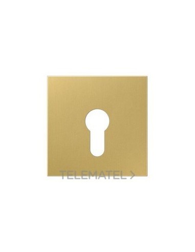 PLACA P/MEC.LLV.EJ.PNA.LT.CLASSIC