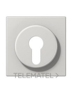 PLACA PARA LLAVE GRIS CLARO