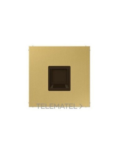 PLACA MDR.JACK-RADIALL 1 T.LS LT.CLR.