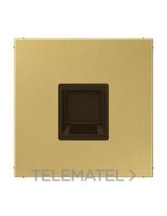 PLACA MODULAR JACK 1 TOMA LS LATÓN CLARO