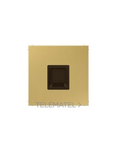 PLACA MODULAR JACK 1 TOMA LS LATÓN CLARO