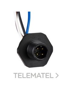 BASE PLAST.4 HL.(I.W815601330111)