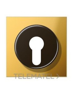 PLACA INTERRUPTOR LLAVE LS DORADO