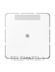 PLACA CON SALIDA CABLE CD BLANCO ALPINO