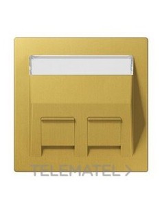 PLACA REGL.INSC.P/ADPR.30° LT.CLASSIC