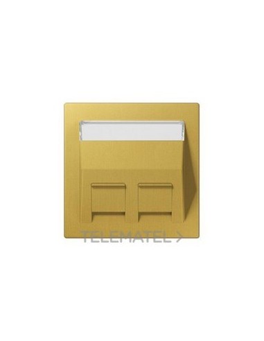 PLACA REGL.INSC.P/ADPR.30° LT.CLASSIC