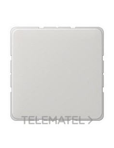 PLACA CIEGA GRIS CLARO