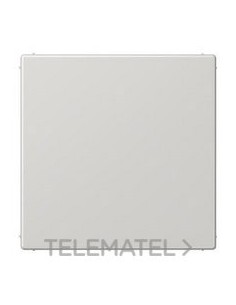 PLACA CIEGA GRIS CLARO