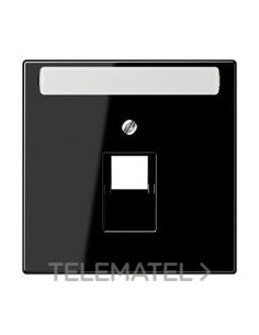 PLACA CTRAL.T.TELEF.INSC.NG