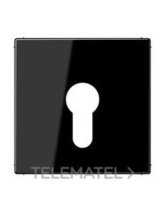 PLACA CTRAL.P/MEC.LLV.EJ.PNA.NG