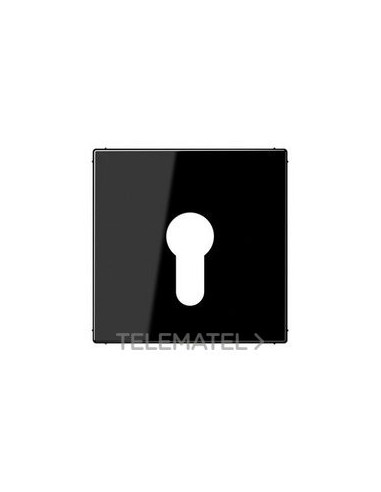 PLACA CTRAL.P/MEC.LLV.EJ.PNA.NG