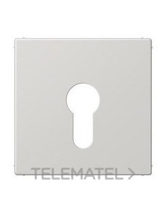 PLACA CTRAL.P/MEC.LLV.EJ.PNA.GR