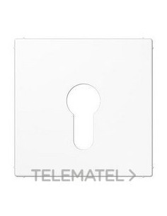 PLACA CTRAL.P/MEC.LLV.EJ.PNA.BL