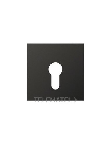 PLACA CTRAL.P/MEC.LLV.EJ.PNA.ANTR.