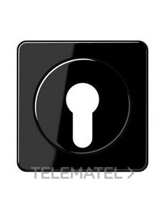 PLACA CTRAL.P/INT.LLV.NG