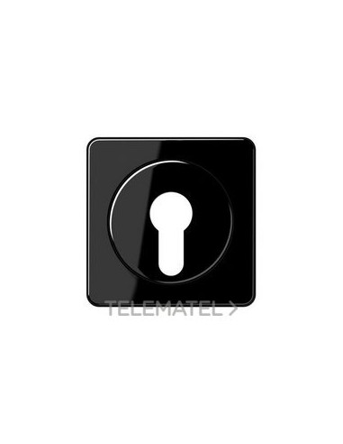 PLACA CTRAL.P/INT.LLV.NG