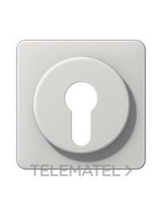 PLACA CTRAL.P/INT.LLV.GCL.