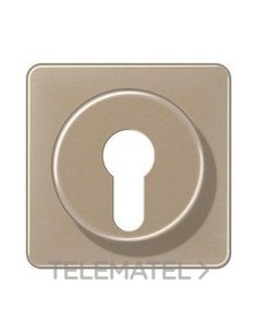 PLACA CTRAL.P/INT.LLV.BRONCE-ORO
