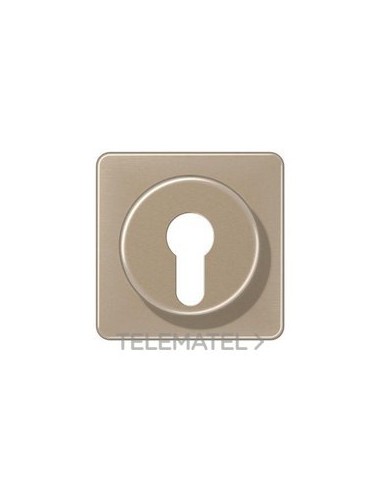 PLACA CTRAL.P/INT.LLV.BRONCE-ORO