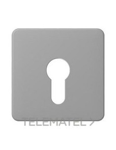 PLACA CTRAL.LLV.P/MEC.CD500 GR