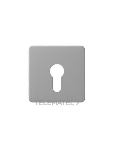 PLACA CTRAL.LLV.P/MEC.CD500 GR