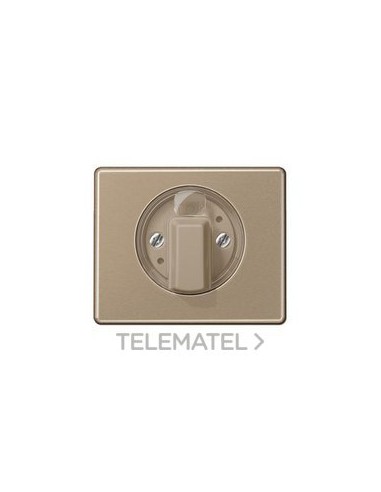 PLACA CTRAL.INT.SL500 BR ORO