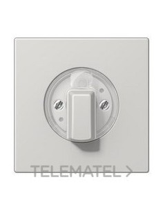 PLACA CENTRAL INTERRUPTOR GRIS CLARO