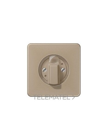 PLACA CTRAL.INT.CD500 BR ORO