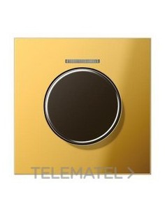 PLACA CTRAL.BTN.MDO.VISOR DOR.