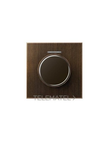 PLACA CTRAL.BTN.MDO.VISOR LT.ANTIK