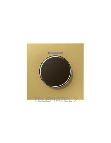 PLACA CTRAL.BTN.MDO.VISOR LT.CLASSIC