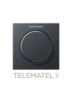 PLACA CTRAL.BTN.MDO.VISOR ANTR.MT