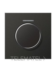 PLACA CTRAL.BTN.MDO.VISOR ANTR.