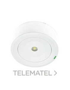 LUMERG.SPAZIO PLUS STD.100lm NP 2h AUTON