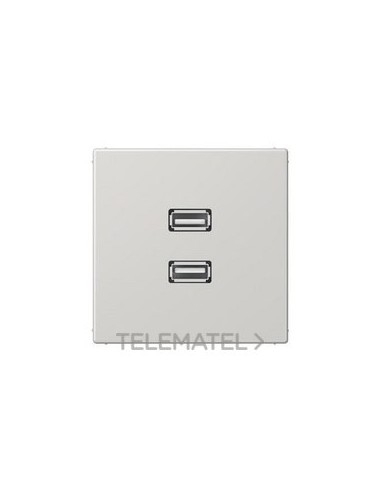 PLACA 2xUSB GRIS PARA SERIE LS