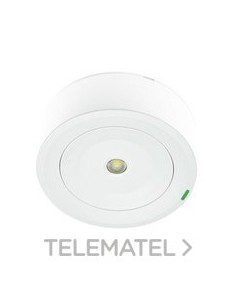 LUMERG.SPAZIO PLUS STD.100lm NP 1h AUTON