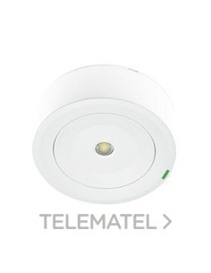 LUMERG.SPAZIO PLUS AUTT.250lm TIPO P/NP