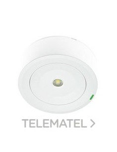 LUMERG.SPAZIO PLUS AUTT.200lm NP 1h AUTO