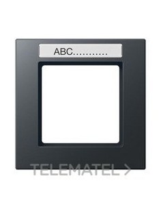 MARCO REGL.P/INSC.SIMP.ANTR.MT