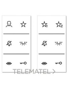 LÁMINA CON INSCRIPCIONES PARA SERIE LS