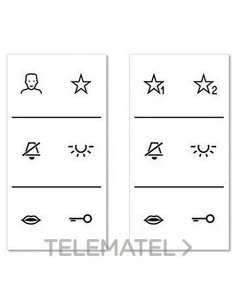 LÁMINA CON INSCRIPCIONES PARA SERIE CD