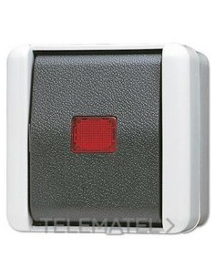 INT.CONM.TECLA PIL.CTROL.10A 250V WG800