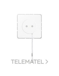 INTERRUPTOR TIR.10AX 250V~ BL