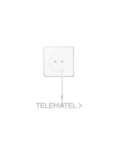 INTERRUPTOR TIR.10AX 250V~ BL