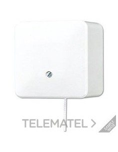 INTERRUPTOR CON TIRADOR 10A 250V AP600