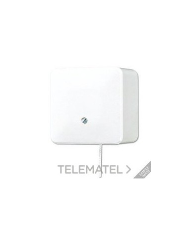 INTERRUPTOR CON TIRADOR 10A 250V AP600