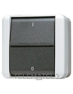 INTERRUPTOR BIP.TECLA 10A 250V WG800